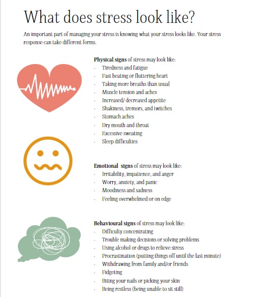 teens-guide-inforgraphic-what-does-stress-look-like